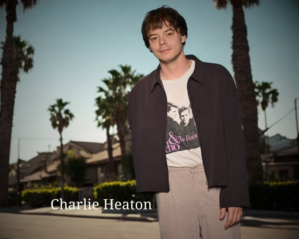 Official Echo & The Bunnymen Vintage Grey Album T-Shirt