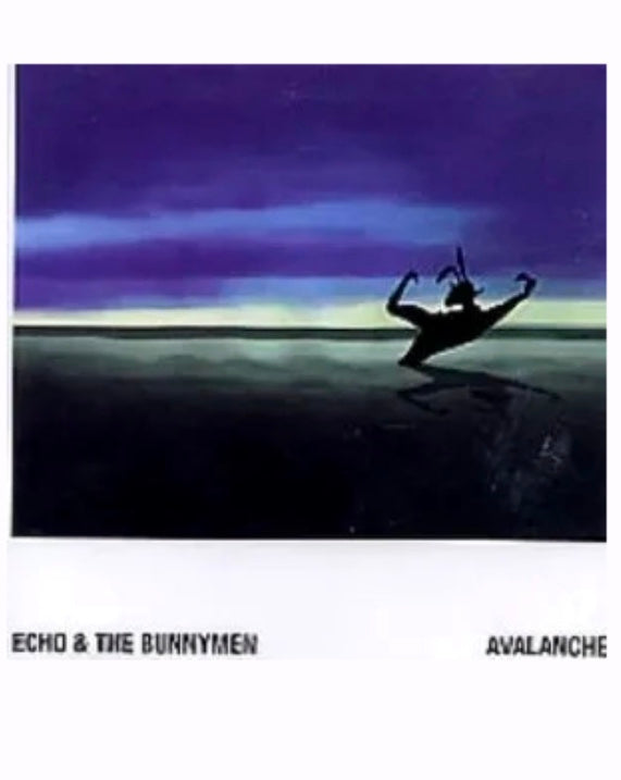Echo & The Bunnymen Avalanche (Digital Download)