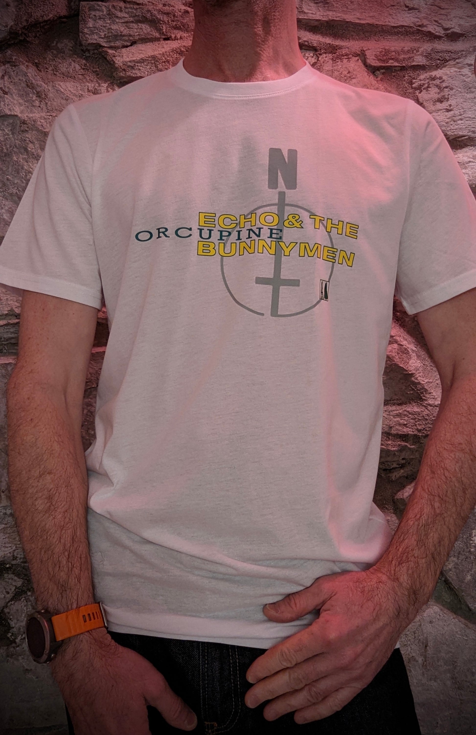 Echo & The Bunnymen vintage 1983 Porcupine T-Shirt