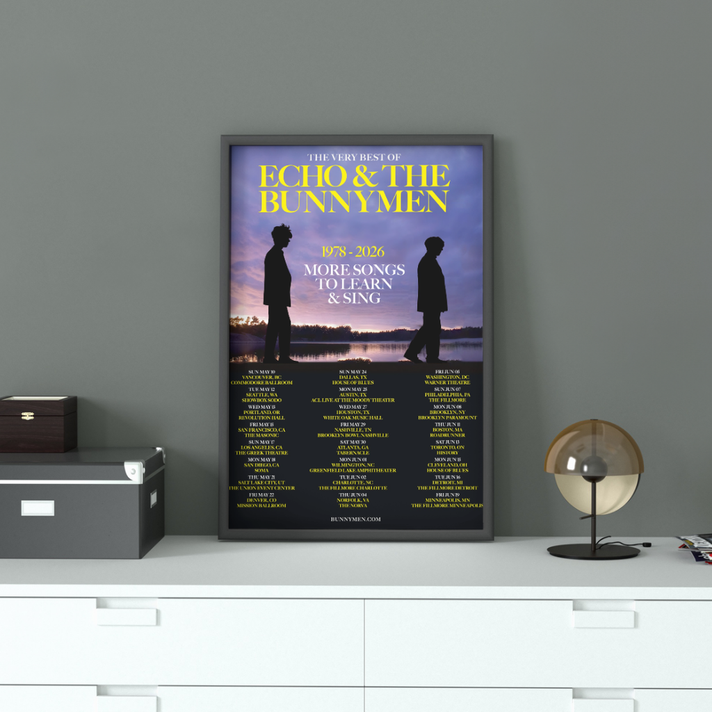 A framed music poster for 'The Very Best of Echo & The Bunnenmen' displayed on a white dresser against a gray wall, styled with a lamp, storage boxes, and a small plant.