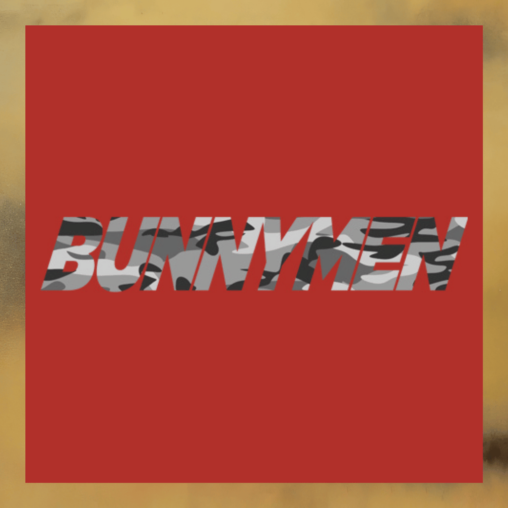 Echo And The Bunnymen Camouflage Lettering T-Shirt Logo