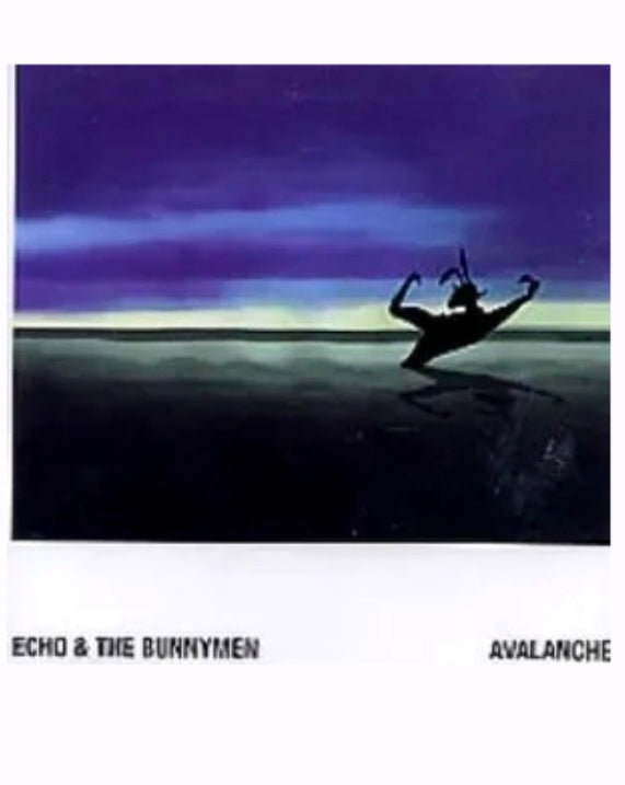 Echo & The Bunnymen Avalanche (Physical CD)